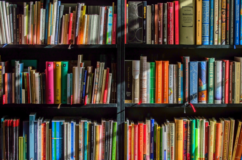 vitrine-PEILLE-min_books_bookstore_book_reading_shop_writer_sale_books_read-822866